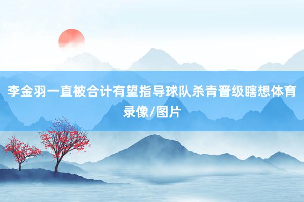 李金羽一直被合计有望指导球队杀青晋级瞎想体育录像/图片