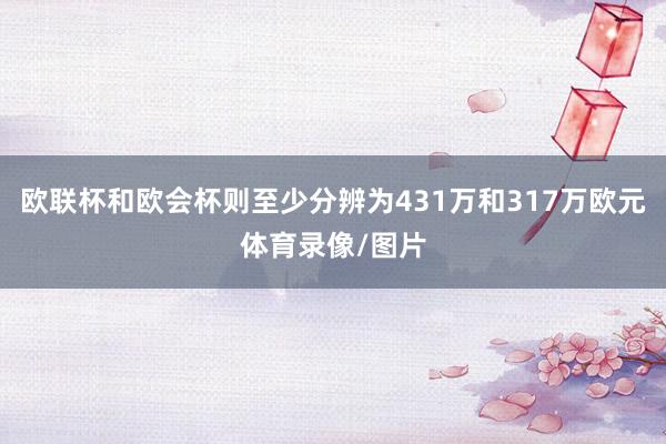 欧联杯和欧会杯则至少分辨为431万和317万欧元体育录像/图片