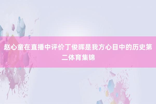 赵心童在直播中评价丁俊晖是我方心目中的历史第二体育集锦