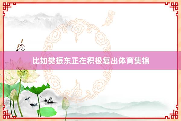 比如樊振东正在积极复出体育集锦