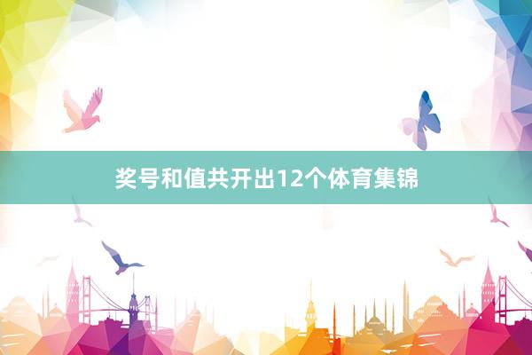 奖号和值共开出12个体育集锦