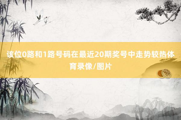 该位0路和1路号码在最近20期奖号中走势较热体育录像/图片