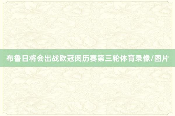 布鲁日将会出战欧冠阅历赛第三轮体育录像/图片