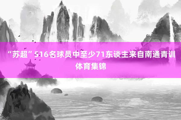 “苏超”516名球员中至少71东谈主来自南通青训体育集锦