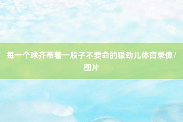 每一个球齐带着一股子不要命的狠劲儿体育录像/图片
