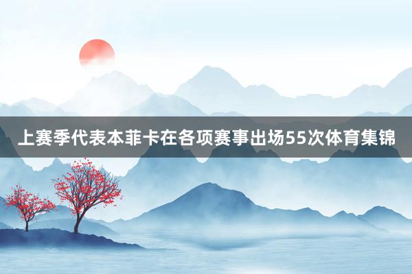 上赛季代表本菲卡在各项赛事出场55次体育集锦