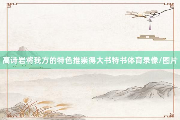 高诗岩将我方的特色推崇得大书特书体育录像/图片