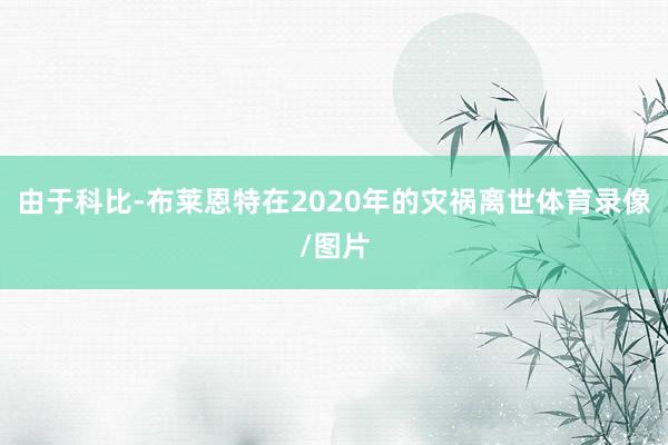 由于科比-布莱恩特在2020年的灾祸离世体育录像/图片