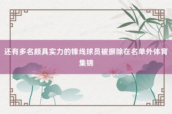 还有多名颇具实力的锋线球员被摒除在名单外体育集锦