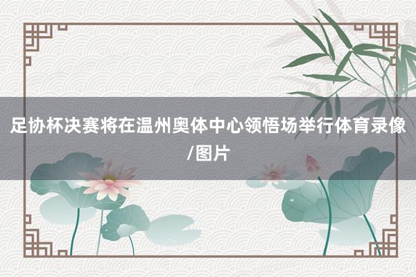 足协杯决赛将在温州奥体中心领悟场举行体育录像/图片