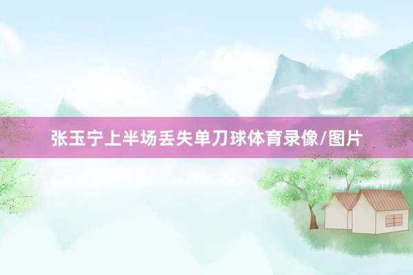 张玉宁上半场丢失单刀球体育录像/图片