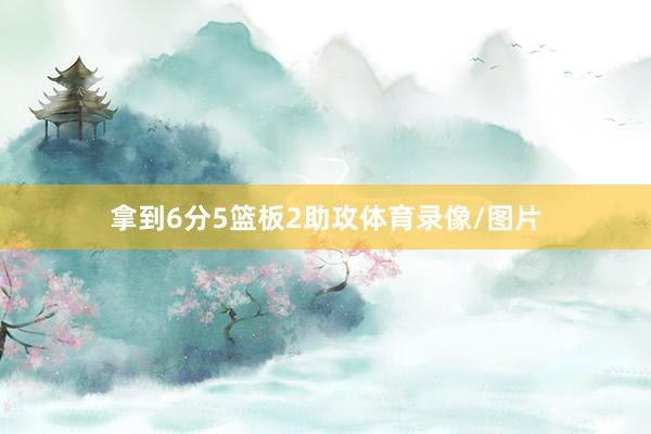 拿到6分5篮板2助攻体育录像/图片