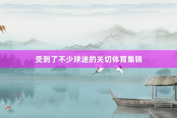 受到了不少球迷的关切体育集锦