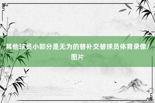 其他球员小部分是无为的替补交替球员体育录像/图片