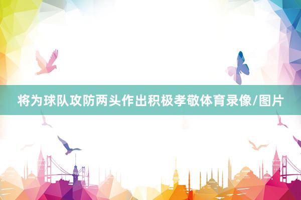 将为球队攻防两头作出积极孝敬体育录像/图片