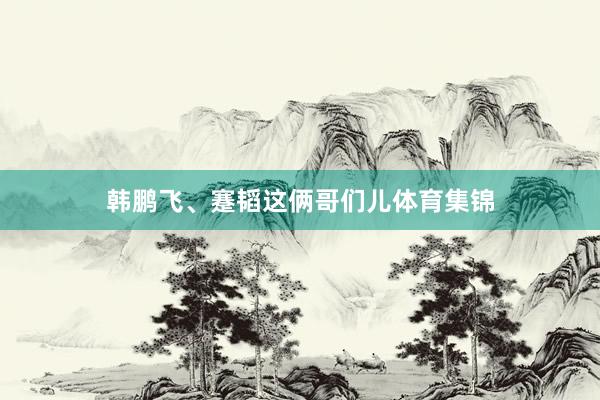 韩鹏飞、蹇韬这俩哥们儿体育集锦