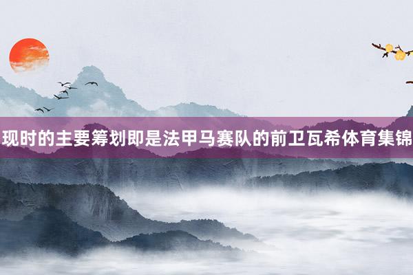 现时的主要筹划即是法甲马赛队的前卫瓦希体育集锦