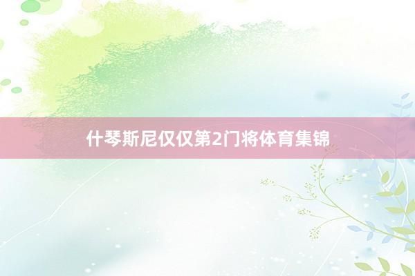什琴斯尼仅仅第2门将体育集锦
