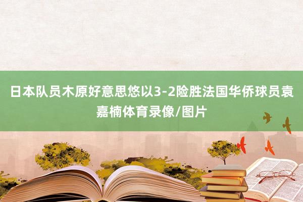 日本队员木原好意思悠以3-2险胜法国华侨球员袁嘉楠体育录像/图片