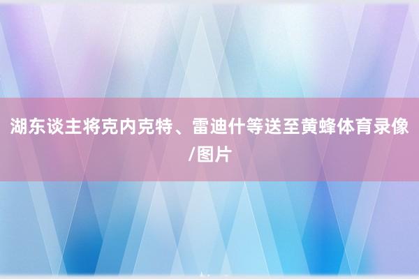 湖东谈主将克内克特、雷迪什等送至黄蜂体育录像/图片