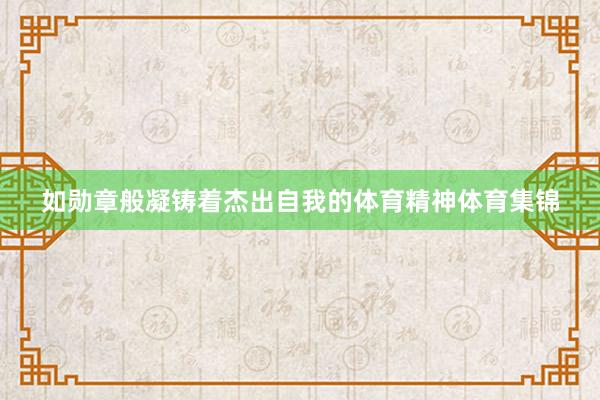 如勋章般凝铸着杰出自我的体育精神体育集锦