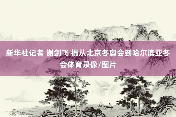 新华社记者 谢剑飞 摄从北京冬奥会到哈尔滨亚冬会体育录像/图片
