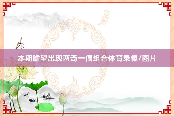 本期瞻望出现两奇一偶组合体育录像/图片