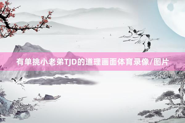 有单挑小老弟TJD的道理画面体育录像/图片