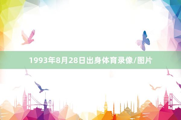 1993年8月28日出身体育录像/图片