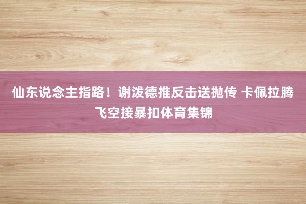 仙东说念主指路！谢泼德推反击送抛传 卡佩拉腾飞空接暴扣体育集锦