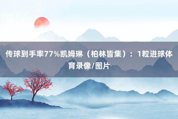 传球到手率77%凯姆琳（柏林皆集）：1粒进球体育录像/图片