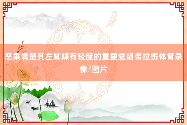 恶果清楚其左脚踝有轻度的重要囊韧带拉伤体育录像/图片