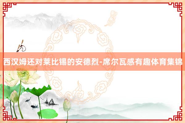 西汉姆还对莱比锡的安德烈-席尔瓦感有趣体育集锦
