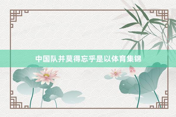 中国队并莫得忘乎是以体育集锦