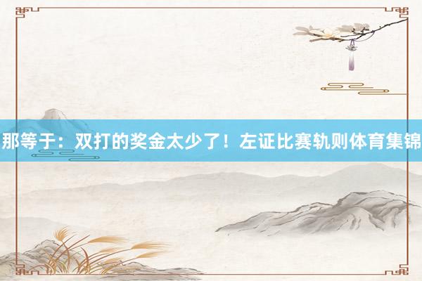 那等于：双打的奖金太少了！左证比赛轨则体育集锦