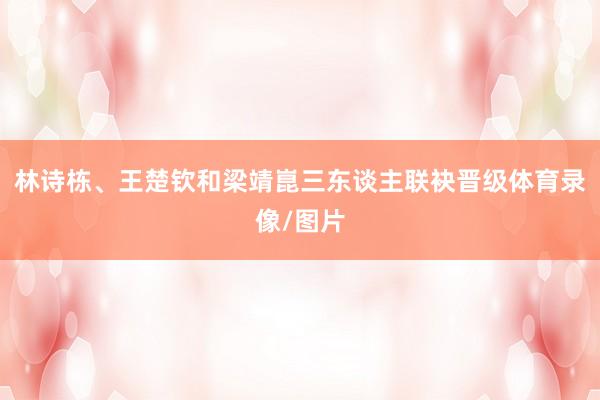 林诗栋、王楚钦和梁靖崑三东谈主联袂晋级体育录像/图片