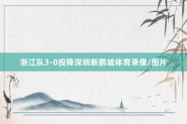 浙江队3-0投降深圳新鹏城体育录像/图片