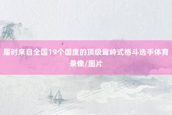 届时来自全国19个国度的顶级耸峙式格斗选手体育录像/图片