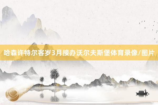哈森许特尔客岁3月接办沃尔夫斯堡体育录像/图片