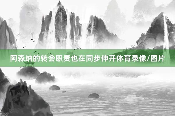 阿森纳的转会职责也在同步伸开体育录像/图片