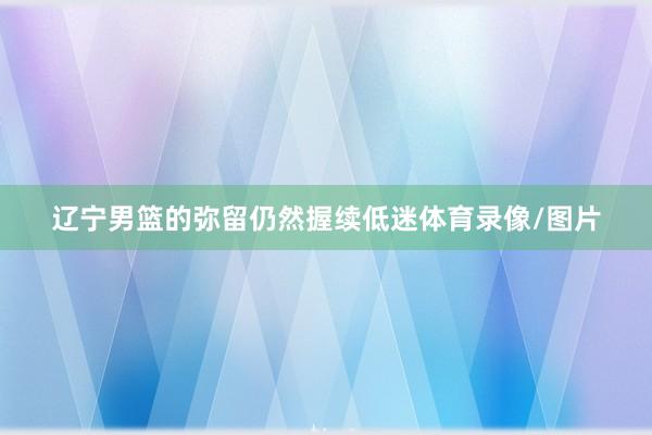 辽宁男篮的弥留仍然握续低迷体育录像/图片