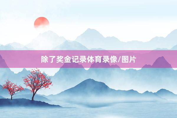 除了奖金记录体育录像/图片