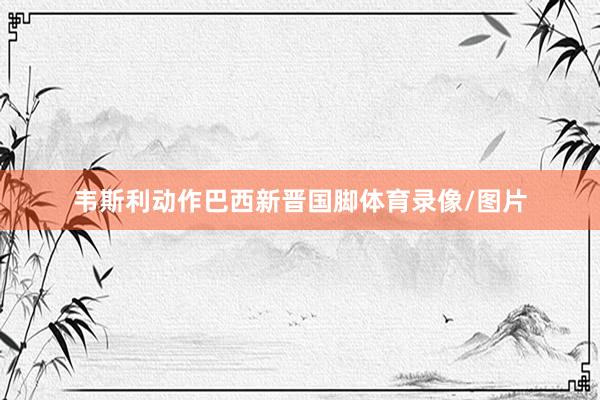 韦斯利动作巴西新晋国脚体育录像/图片