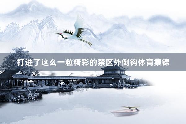 打进了这么一粒精彩的禁区外倒钩体育集锦