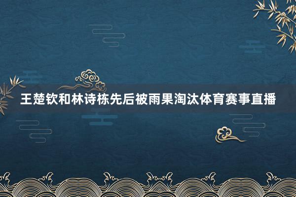 王楚钦和林诗栋先后被雨果淘汰体育赛事直播