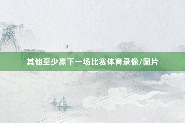 其他至少赢下一场比赛体育录像/图片