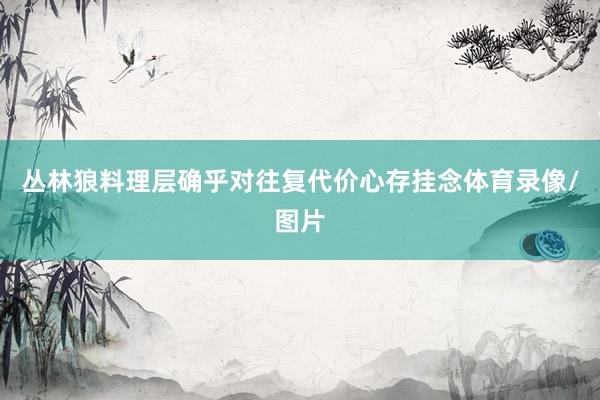 丛林狼料理层确乎对往复代价心存挂念体育录像/图片