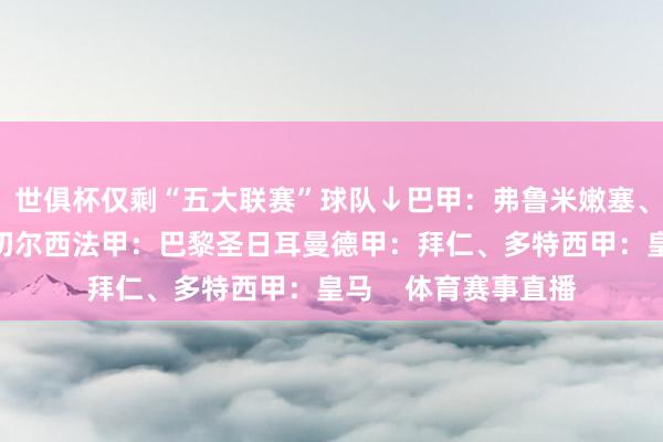 世俱杯仅剩“五大联赛”球队↓巴甲：弗鲁米嫩塞、帕尔梅拉斯英超：切尔西法甲：巴黎圣日耳曼德甲：拜仁、多特西甲：皇马    体育赛事直播