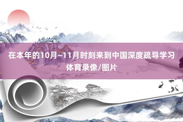 在本年的10月~11月时刻来到中国深度疏导学习体育录像/图片