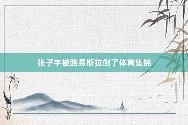 张子宇被路易斯拉倒了体育集锦